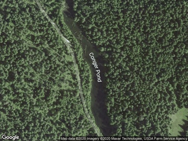 Image of Conger Pond 1