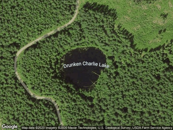 Image of Drunken Charlie Lake