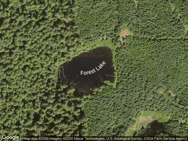 Image of Forest Lake