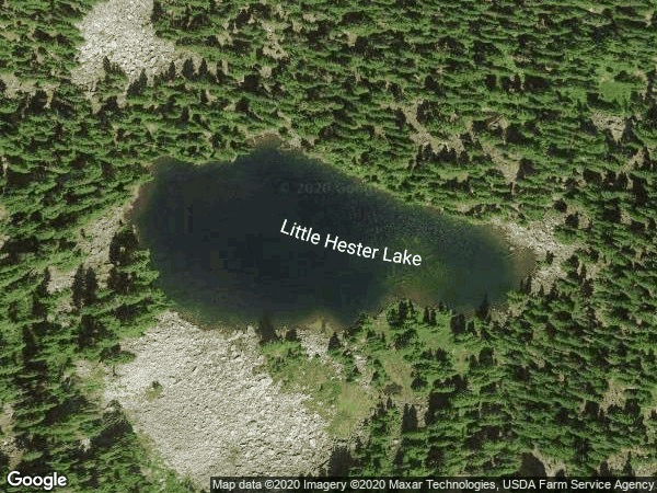 Image of Hester - Little