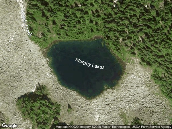 Image of Murphy - Upper