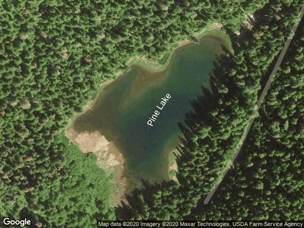 Image of Pine Lake