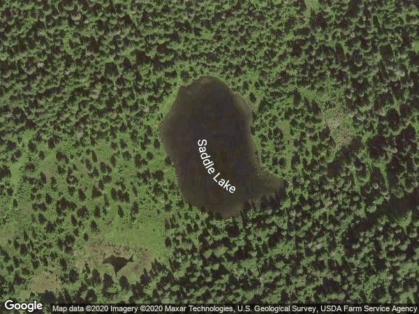 Image of Saddle Lake