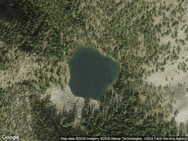 Image of Snowshoe - West