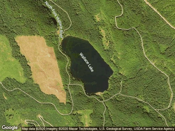 Image of Wallace Lake